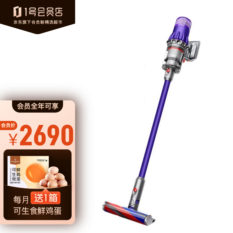 戴森Dyson (V10轻量版) Digital Slim Fluffy无线吸尘器 宠物 家庭适用-京东商城【降价监控 价格走势 历史价格 ...