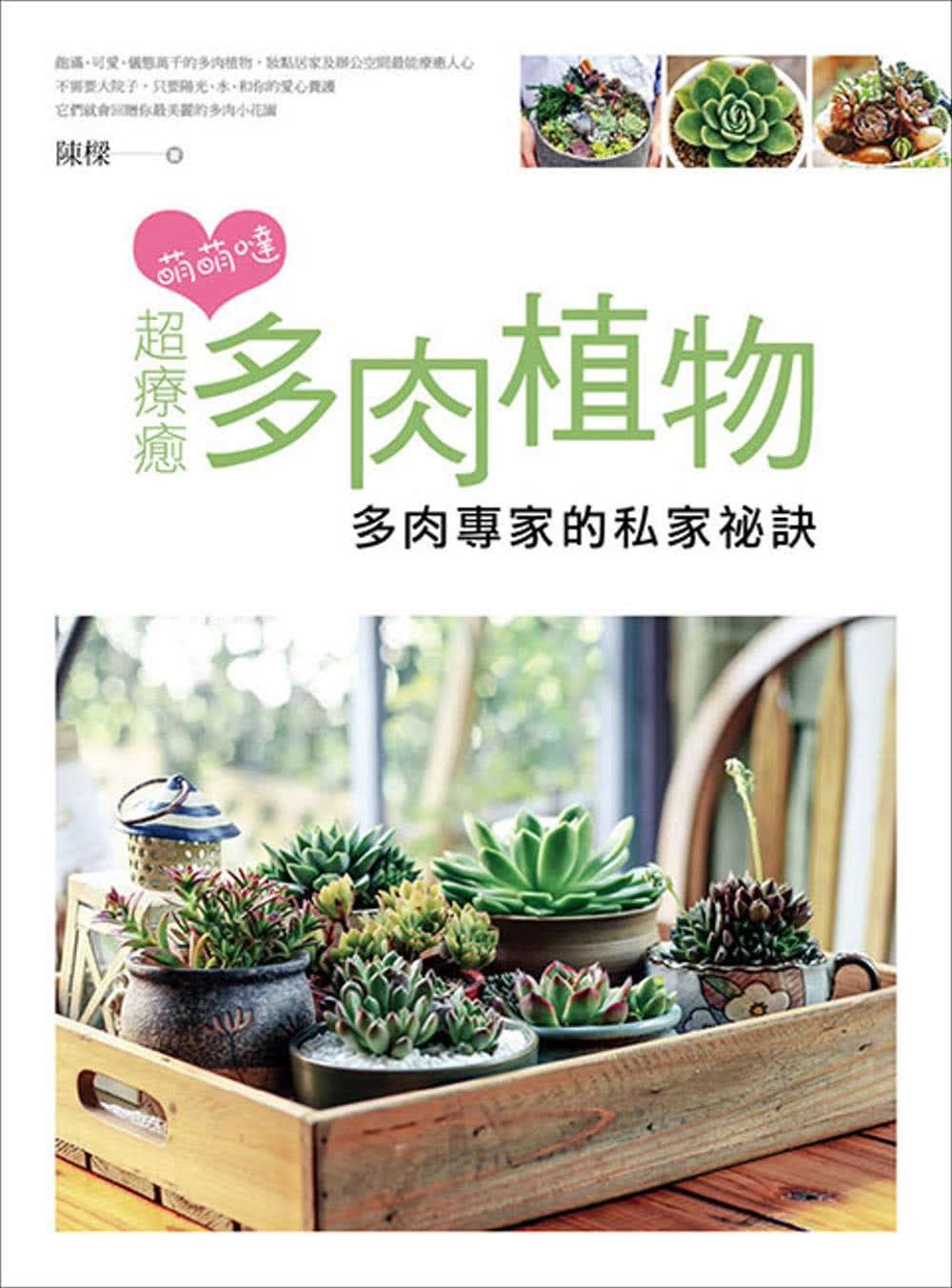 预售 陈梁 萌萌哒！超疗愈多肉植物：多肉专家的私家秘籍 脚文化