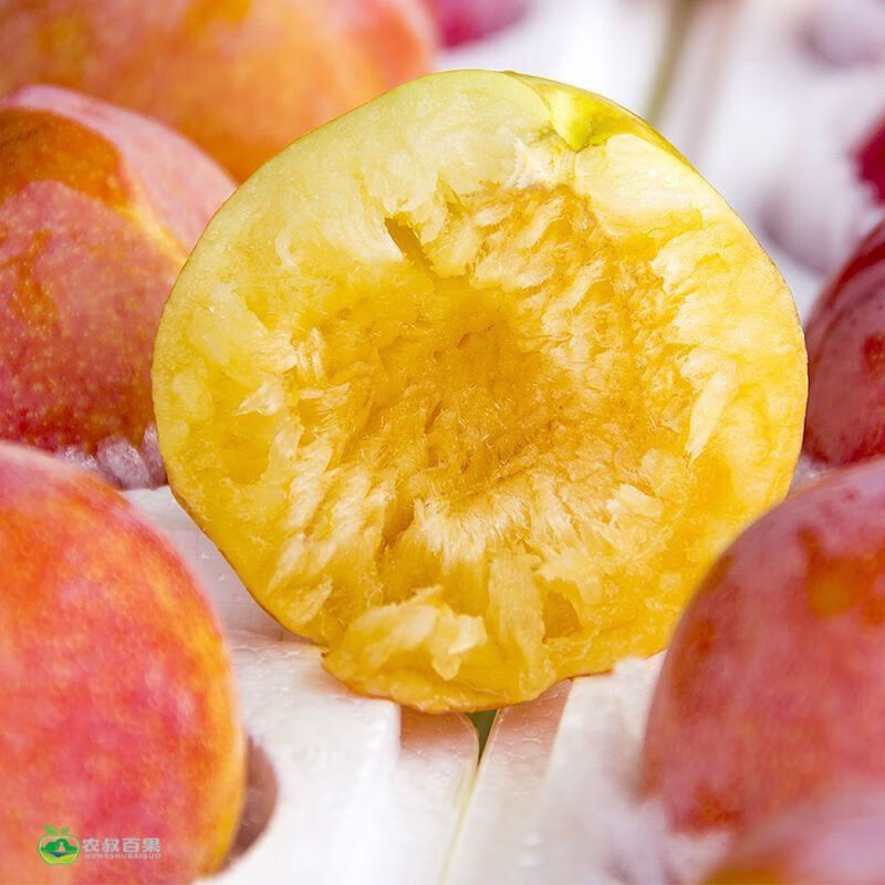 盖县大红袍正宗大红袍脱骨李子东北大李子香蕉李应季李子 正宗大红袍