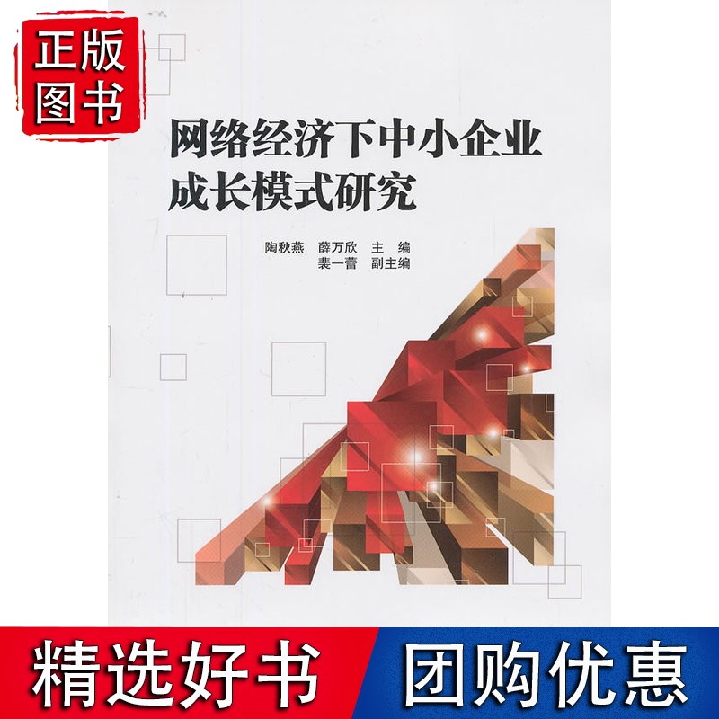 络经济下中小企业成长模式研究