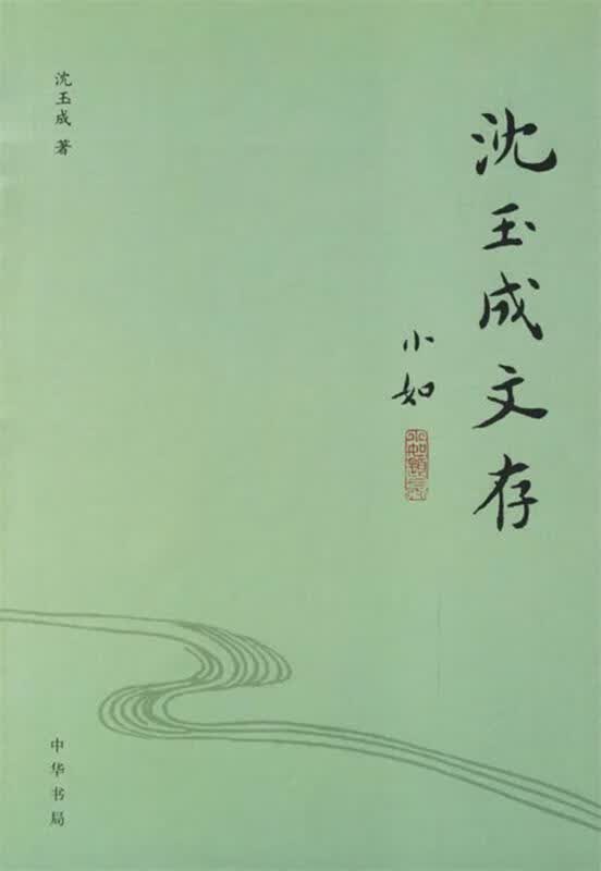沈玉成文存 沈玉成 著【正版书】
