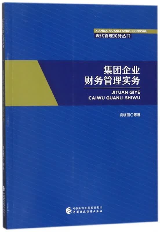 集团企业财务管理实务/现代管理实务丛书
