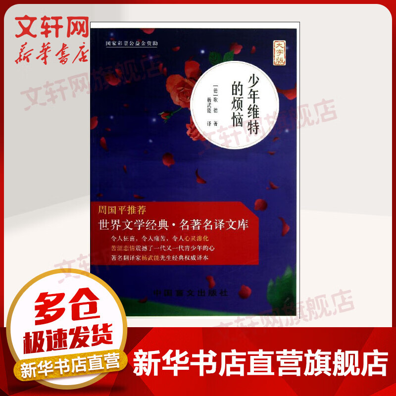 少年维特的烦恼 (大字版)