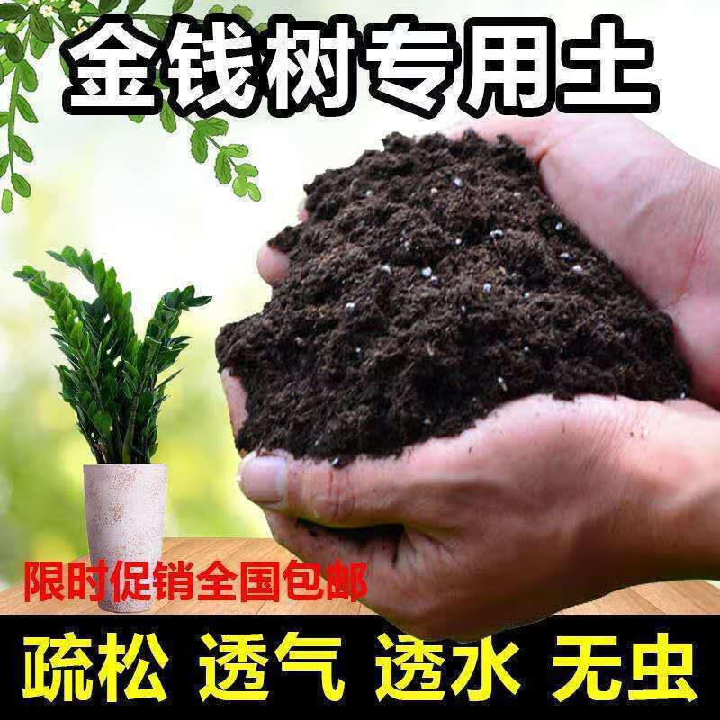 有机培养土淘宝优惠券 免费领有机培养土优惠券 有机培养土淘宝优惠券 免费领有机培养土优惠券