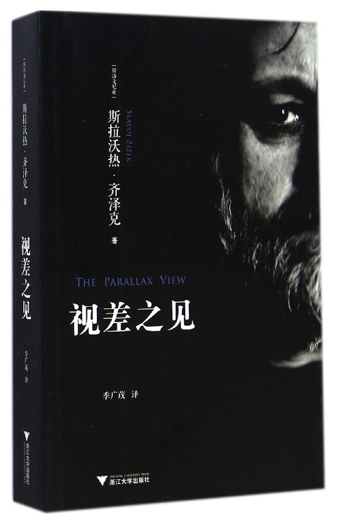 视差之见