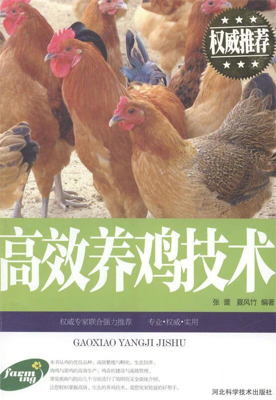 高效养鸡技术 张蕾 编著,夏风竹 编著 河北科学技术出版社
