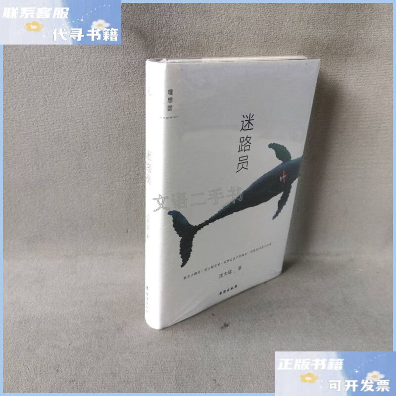 【二手9成新】【库存书】迷路员 /沈大成 台海出版社