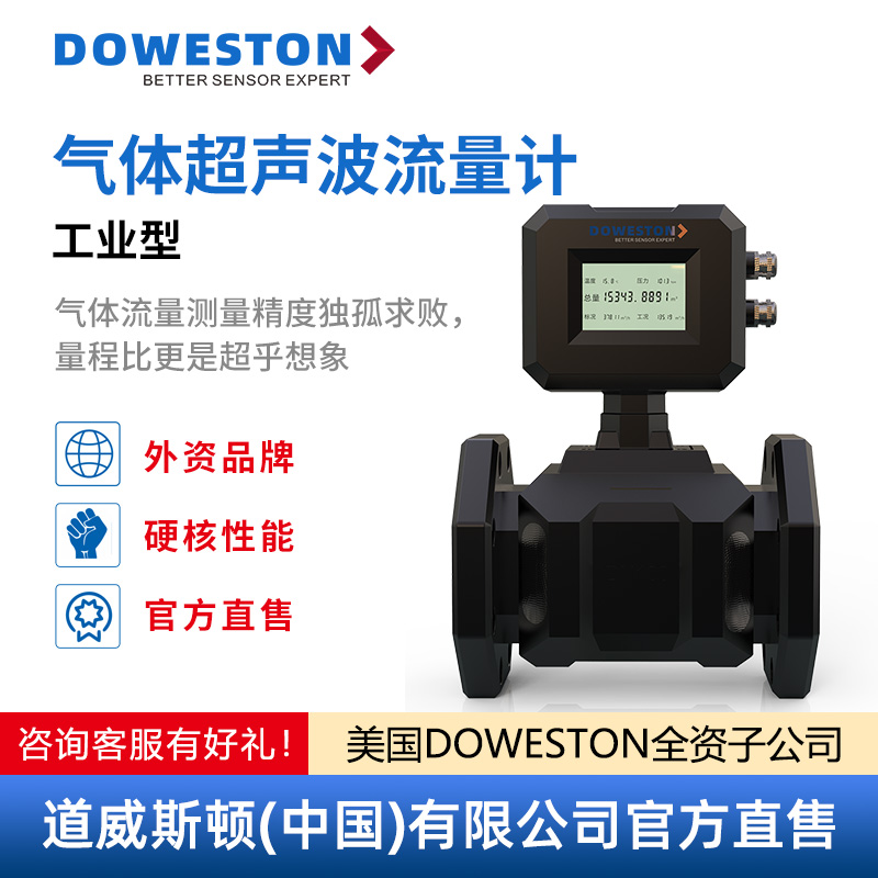 道威斯顿气体超声波流量计天然气流量计管道式高精度空气超声波气体