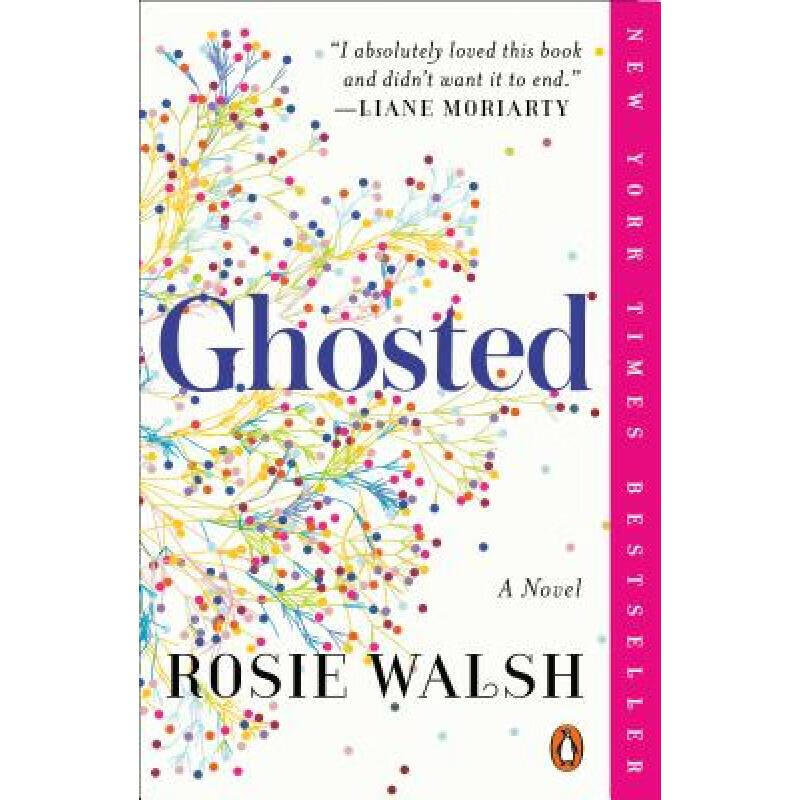 ghosted: a novel 英文原版 女性小说