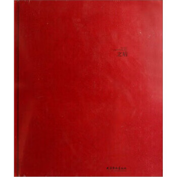 正版 之后 王磊 编 天津杨柳青画社