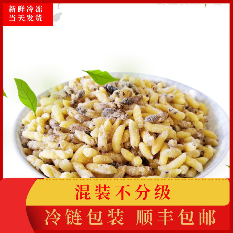 芳溢深山一级野生马蜂蜂蛹500g新鲜冰冻油炸即食网红特产小吃蜂虫幼虫