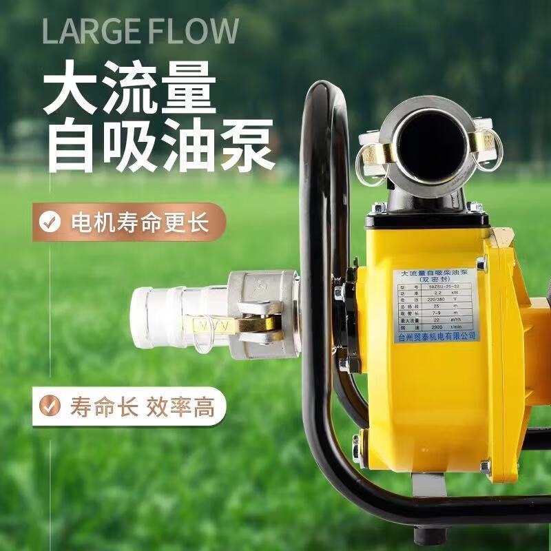 螺丝侠大流量抽柴油自吸泵油罐车卸油泵电动导油泵小型抽油神器加油泵