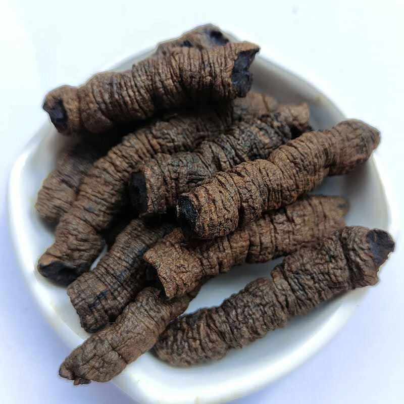 北京同仁堂原料正宗德庆巴戟天中药材特级农家杜仲牛大力煲汤泡酒新鲜