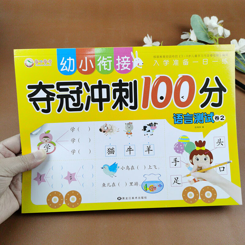 幼儿园中班大班汉语拼音汉字练习训练试题 幼升小学练习教材儿童语言