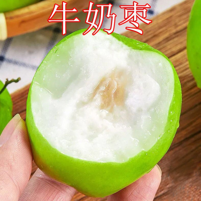 牛奶枣大青枣新鲜水果甜脆枣子当季应季脆枣5/3斤批发贵妃枣 老树精品