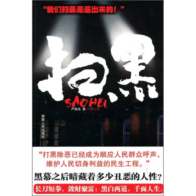 扫黑9787543871854【正版精选】