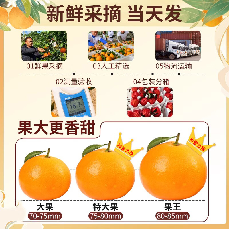 桦萱四川爱媛38号果冻橙【发出多地隔日达】眉山甜柑橘子水果礼盒 5斤A+级大果【65-70mm】净4.5斤