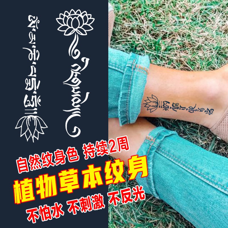 哦嘻啦小清新草本果汁纹身贴纸不反光半永久防水逼真虎口锁骨脚男女
