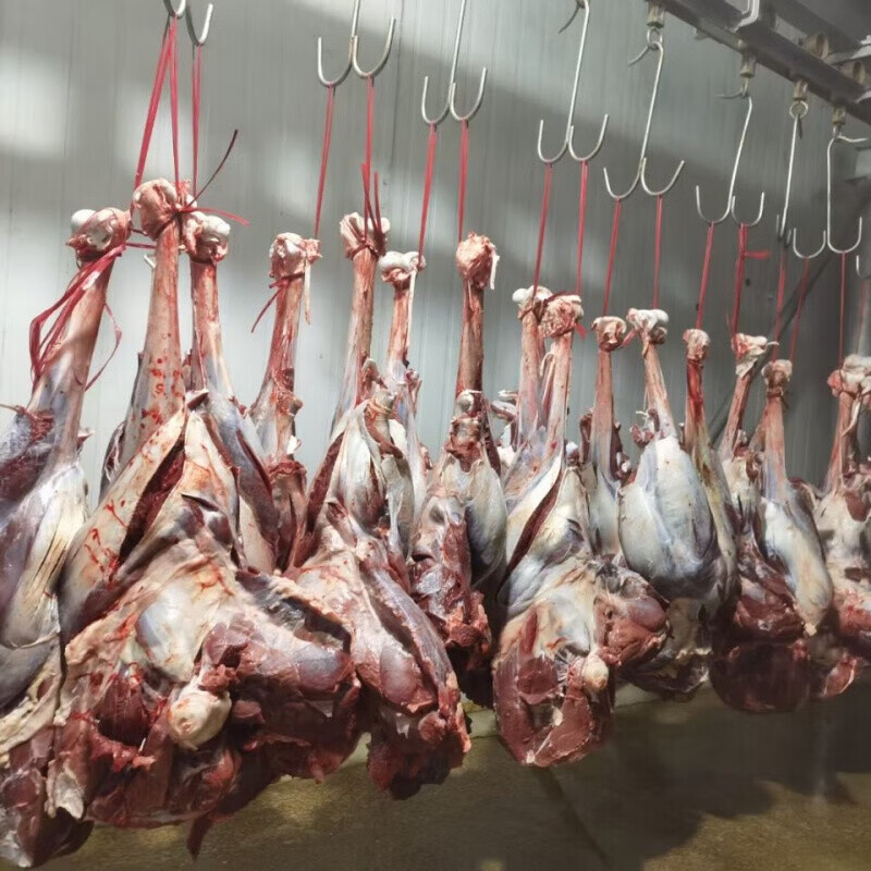 味品京扬鸵鸟肉生鲜鸵鸟掌 农家散养现杀鸵鸟腿肉鸵鸟筋鸵鸟爪子整