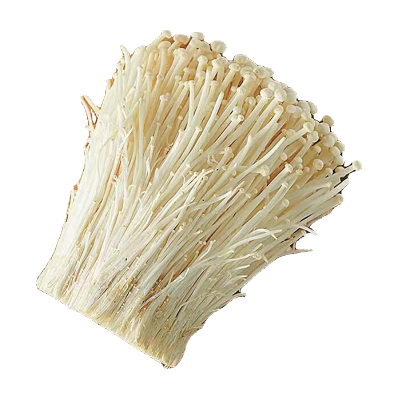 新鲜金针菇精品切根 食用菌菇火锅烧烤煲汤新鲜蔬菜 新鲜金针菇 300g