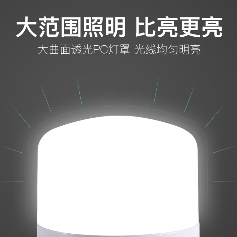 亚明照明亞明led灯泡球泡节能灯E27螺旋家用车间工地厂房高亮度室内照明灯 亚明-LED鳍片球泡100w（E27）