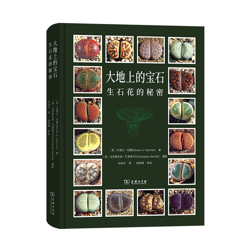 大地上的宝石——生石花的秘密
