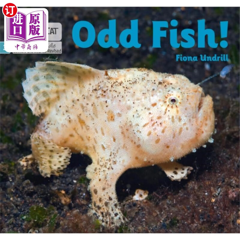 奇怪的鱼!