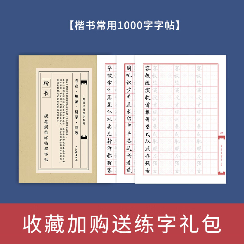 有老师指导大学生成年规范字小学生字体硬字帖一年级临摹描红本画正楷