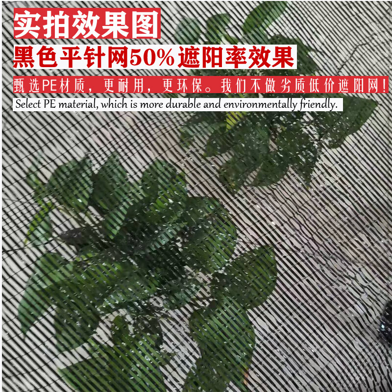 大姜生姜种植专用遮阳网黑色平针工艺抗老化厂家直销悬挂高架拱棚 大