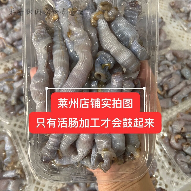 顺丰快递沙虫沙肠粥沙肠汤新鲜活冻沙土笋冻沙虫新鲜去内脏 烟台沙肠