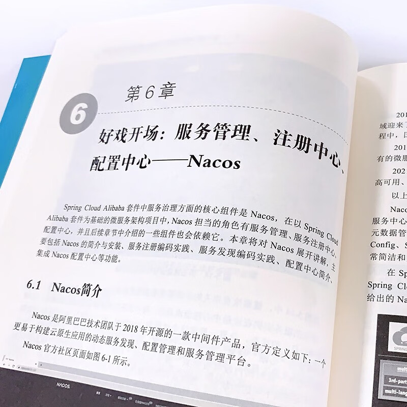 Spring Cloud Alibaba大型微服务架构项目实战（上册）(博文视点出品)