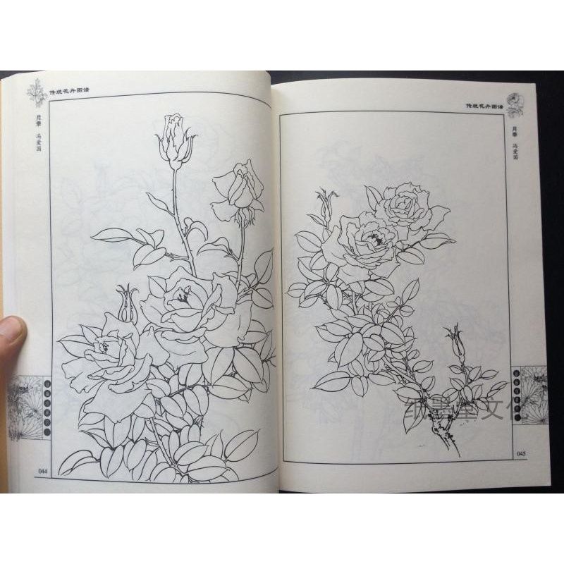 传统花卉图谱 国画黑白创意线描画  花卉白描临摹画稿