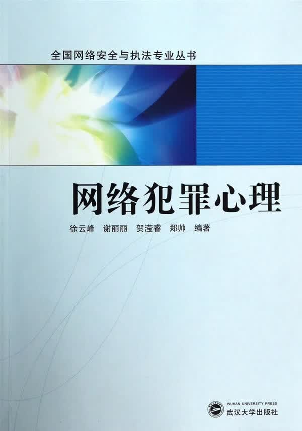 正版图书 网络犯罪心理 徐云峰,谢丽丽,贺滢睿,郑帅著 武汉大学出版社 9787307121775