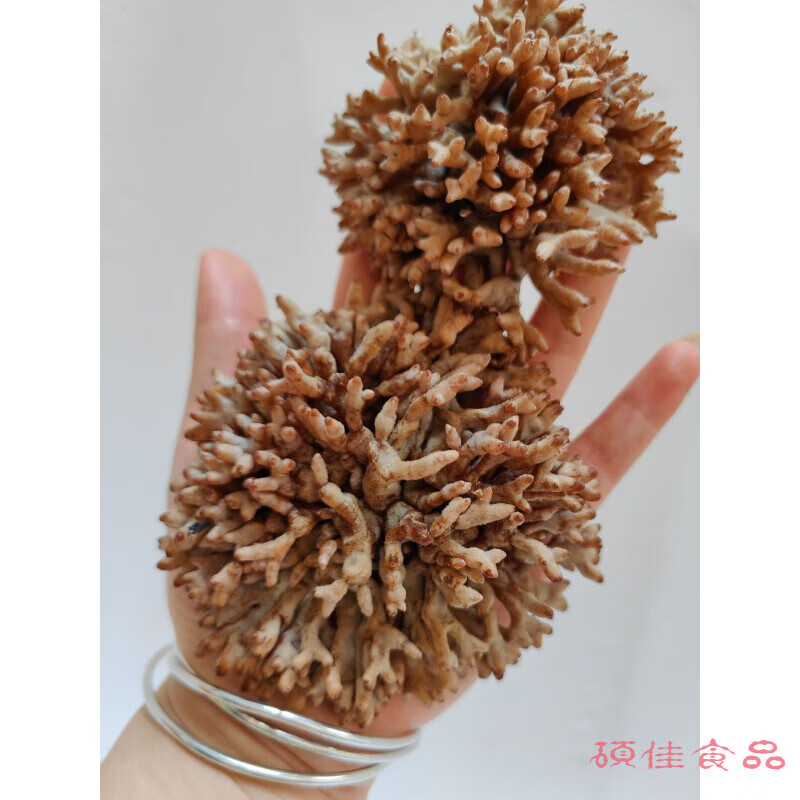 维莱瑞福建武夷山特产新鲜龙爪菇猫爪菇鸡爪菇老鼠爪特美味龙爪菌 主