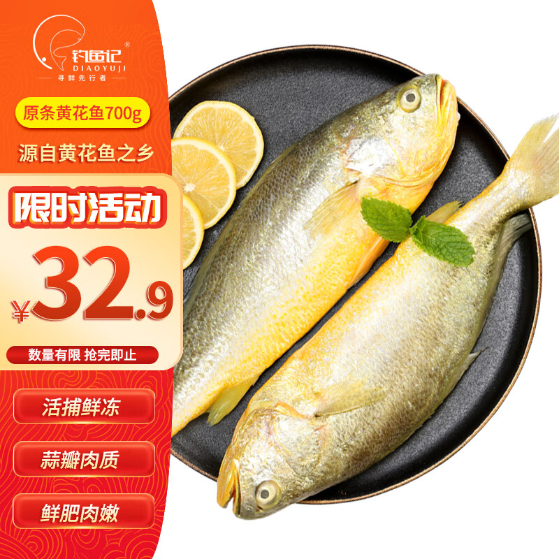钓鱼记活冻宁德大黄花鱼700g/2条装 活鱼冷冻锁鲜 生鲜 鱼类 海鲜水产