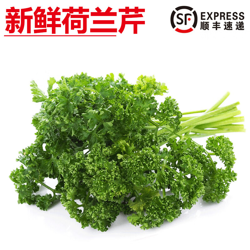 旷古农业【顺丰】新鲜荷兰芹 法香 番西 西餐摆盘装饰 500g