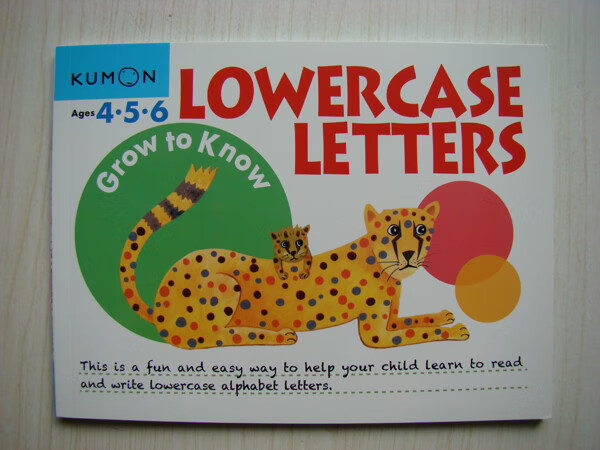 基本技能 儿童英语练习册字母单词手工活动