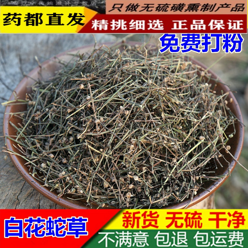 北京同仁堂亳佰-白花蛇草500克中药材新货白花蛇草百花蛇舌草 白花蛇