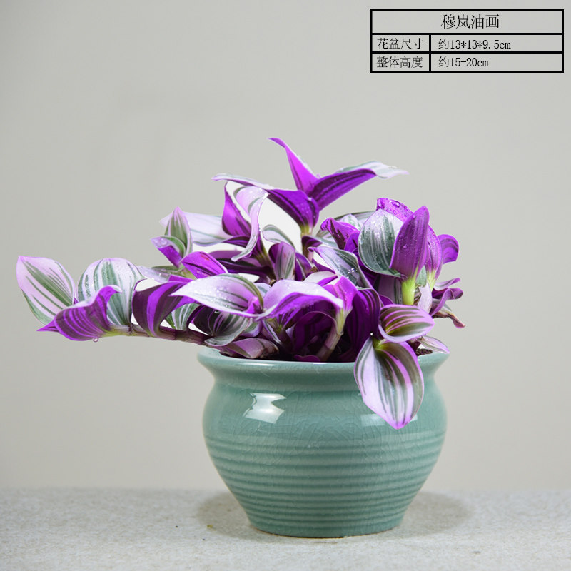 【如梦绮丽】穆岚油画吊兰 带盆栽好