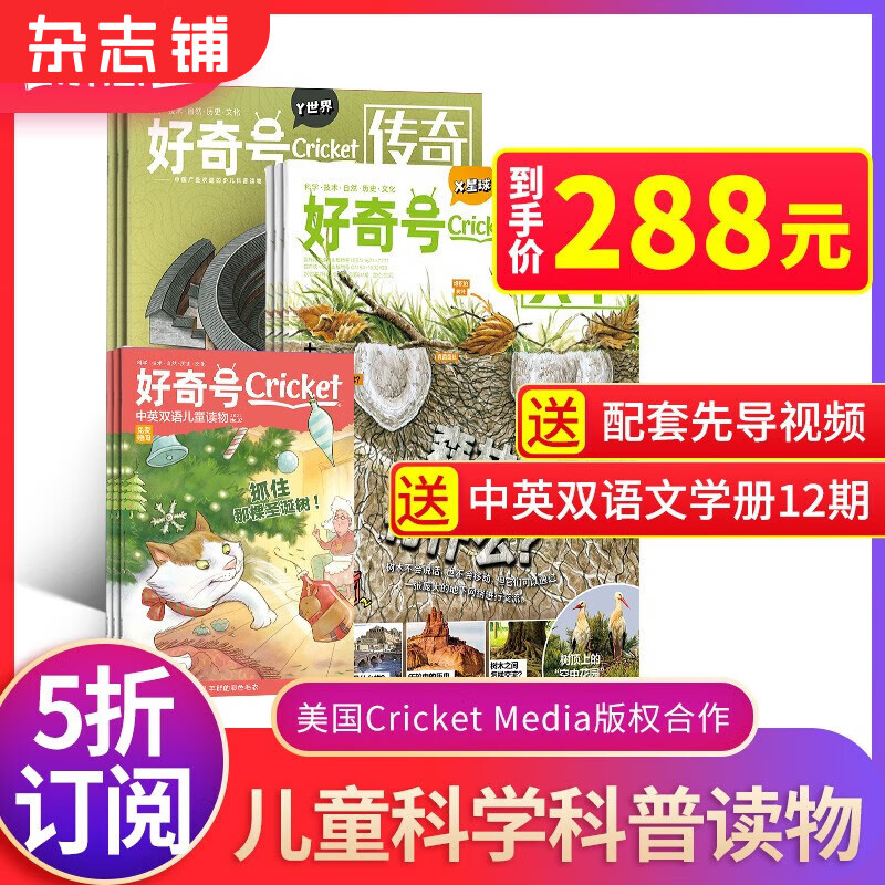 【288元+送好礼】好奇号杂志 2024年1月起订阅 1年共12期杂志铺青少年科普百科图书美国Cricket Media版权合作6-12岁少儿阅读小学生课外读物属于什么档次？