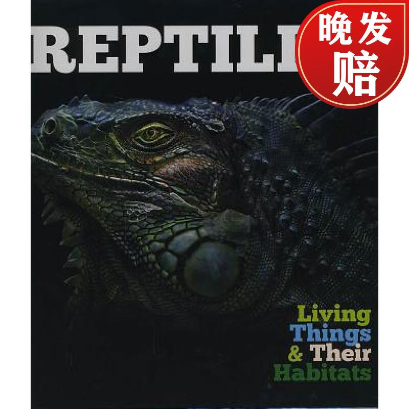 【4周达】reptiles