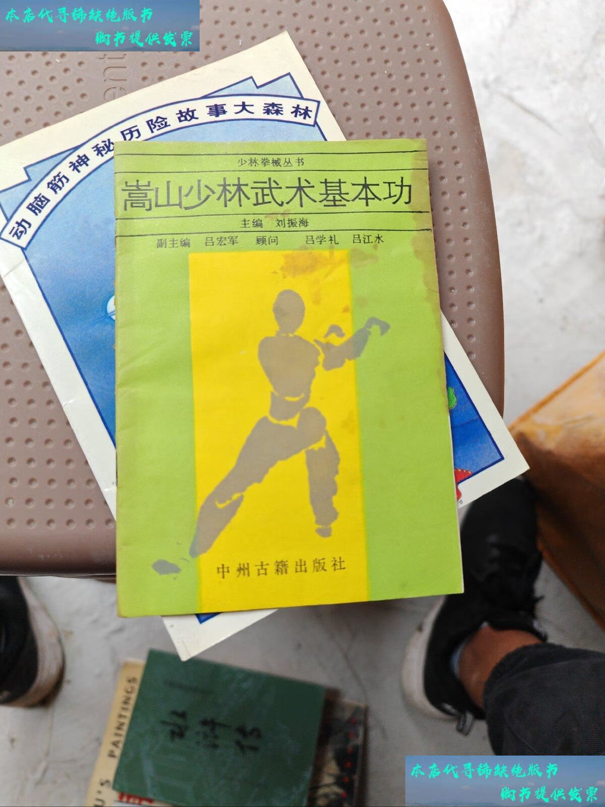 【二手书9成新】嵩山少林武术基本功 /刘振海等编