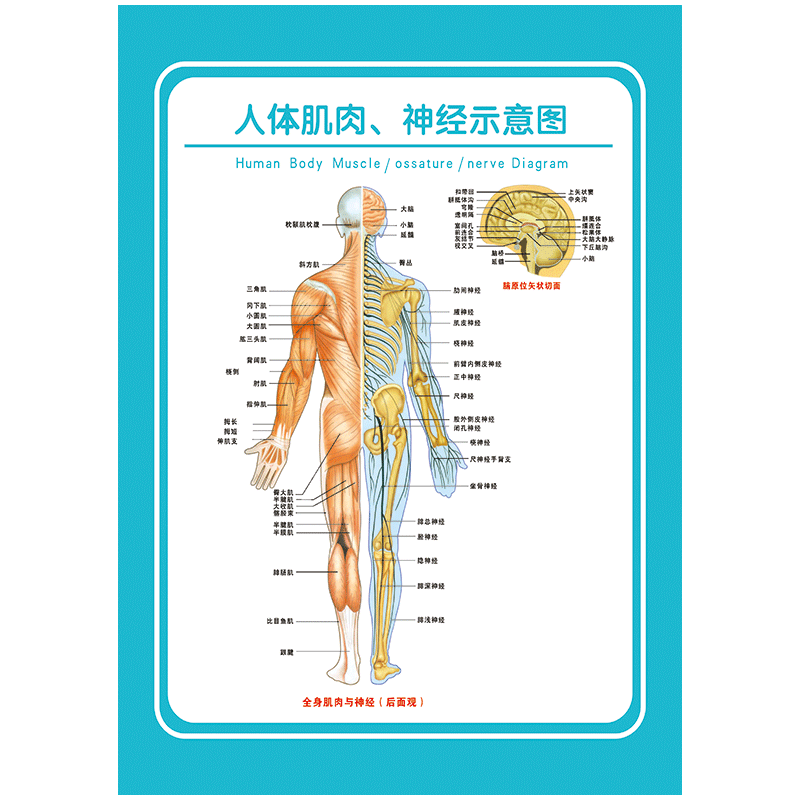 分析纸品印刷制品价格走势|纸品印刷制品价格走势图