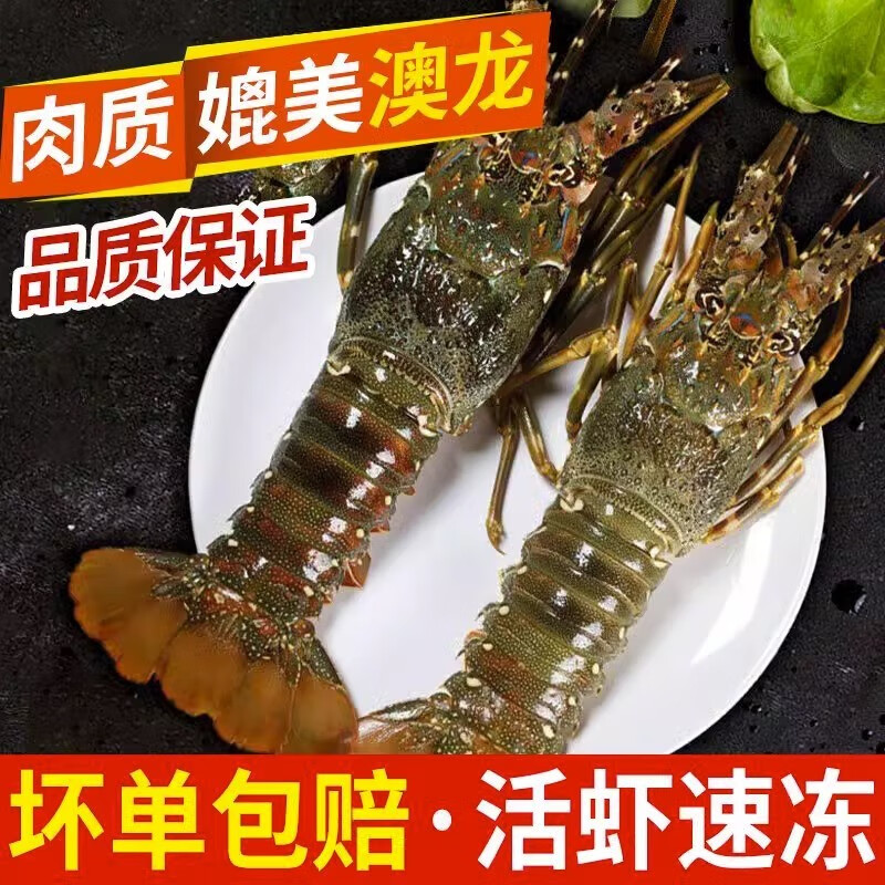 京东京东秒杀 2023-10-26 - 第26张  | 最新购物优惠券