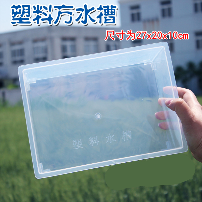 实验器材器皿长方体透明塑料水槽水盆试验盒教学实验室用品仪器教具