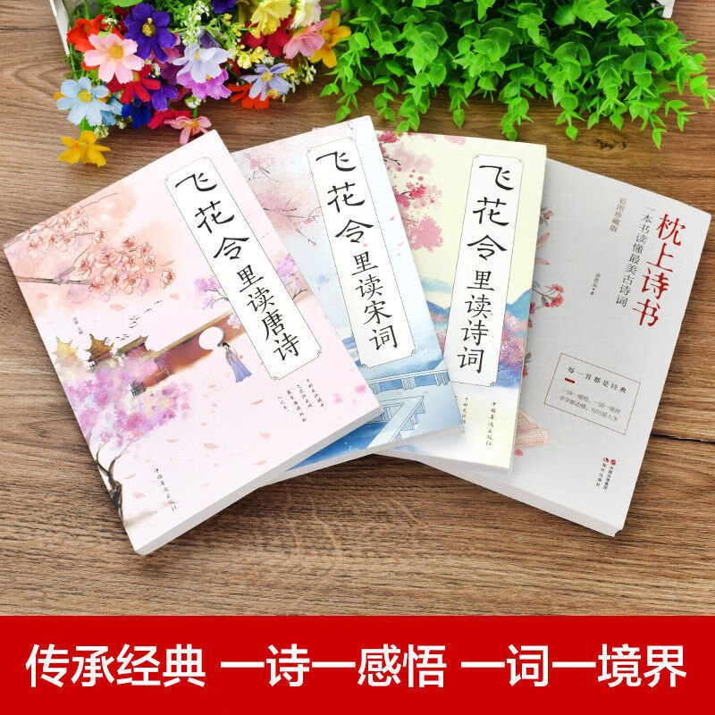 【严选】枕上诗书完整版 全套飞花令里读诗词中国古诗词大全古风书籍 全套4册中国古诗词文化大赏