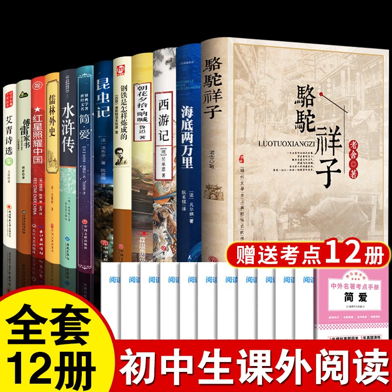 儒林外史+简爱原著正版九年级下册初中生课外阅读书籍初三下册名著阅读 【全12册初中生必读】 京东折扣/优惠券