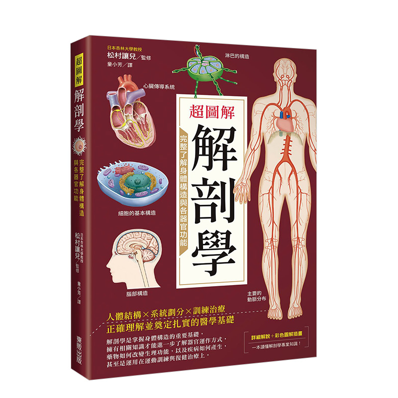 预订台版 图解解剖学 完整了解身体构造与各器官功能 松村让儿 台湾东贩 人体结构解剖常识医疗保健
