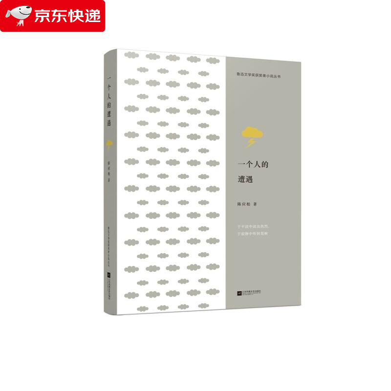 一个人的遭遇/鲁迅文学获奖者小说丛书