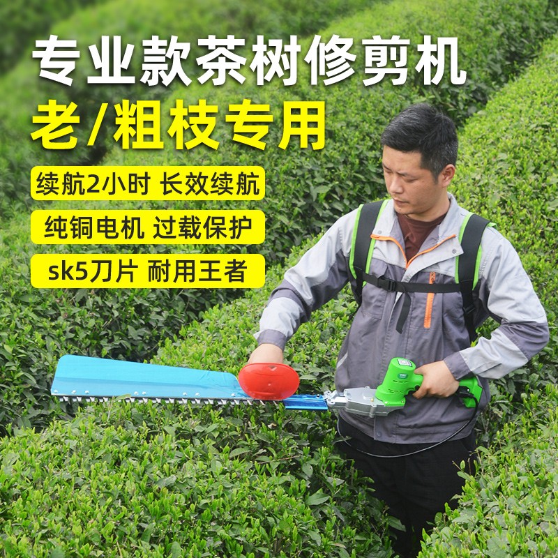 tomspower充电式无刷重修绿篱机锂电采茶机茶园茶树修剪机粗枝剪球树